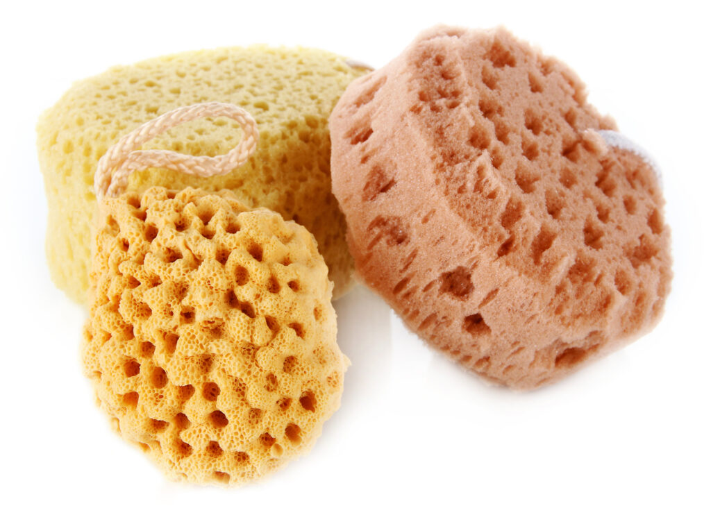 Três esponjas em texturas e cores diferentes representando o tecido esponjoso cavernoso do pênis.