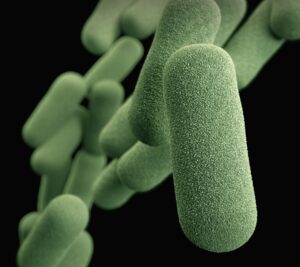 Fundo preto micro-organismos do tipo bacilos em verde representando a prótese peniana com impregnação antibiótica