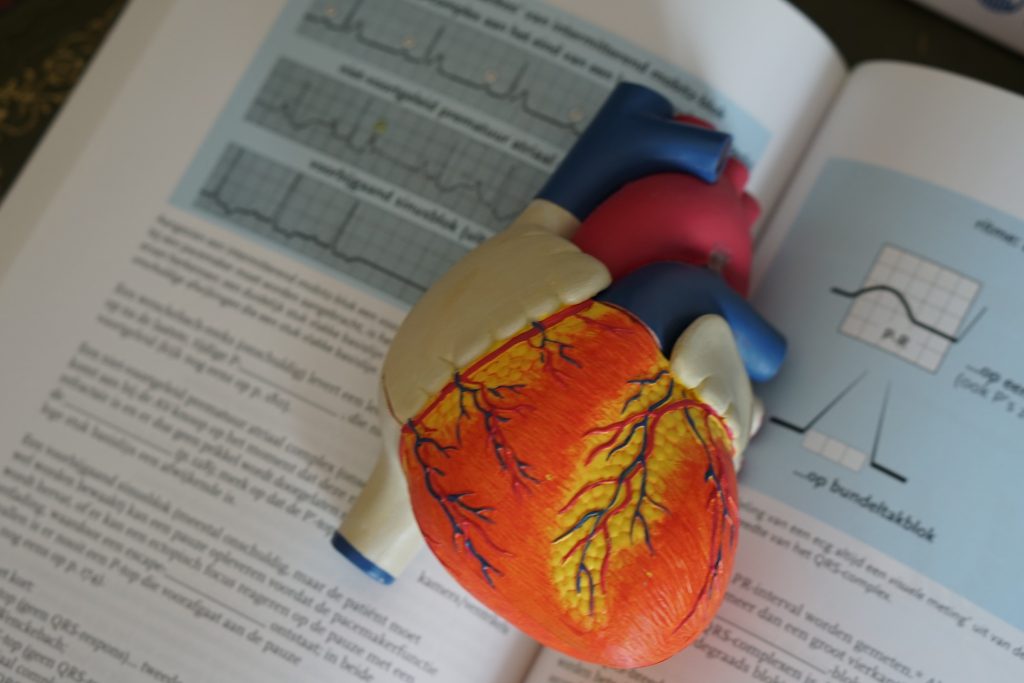 Livro de medicina aberto com molde de coração colorido sobre ele representando a saúde cardiovascular e a hipertensão