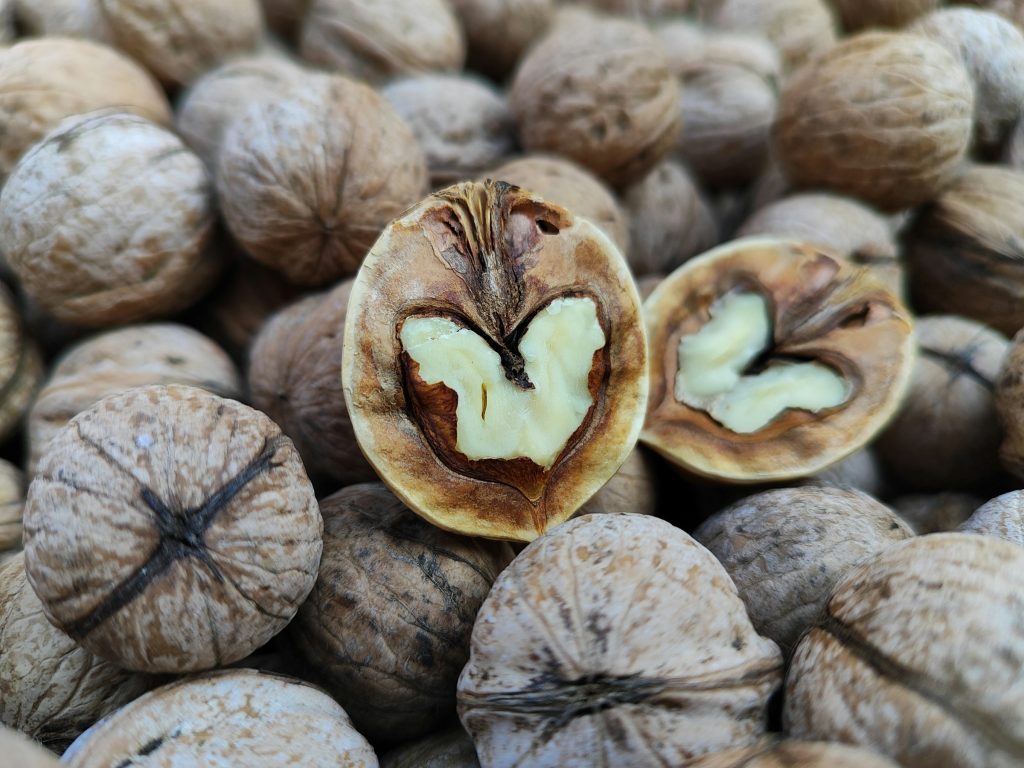Several nuts in the background and halved nuts, with shell and fruit, representing prostatic hyperplasia and its relation to curved penis disease