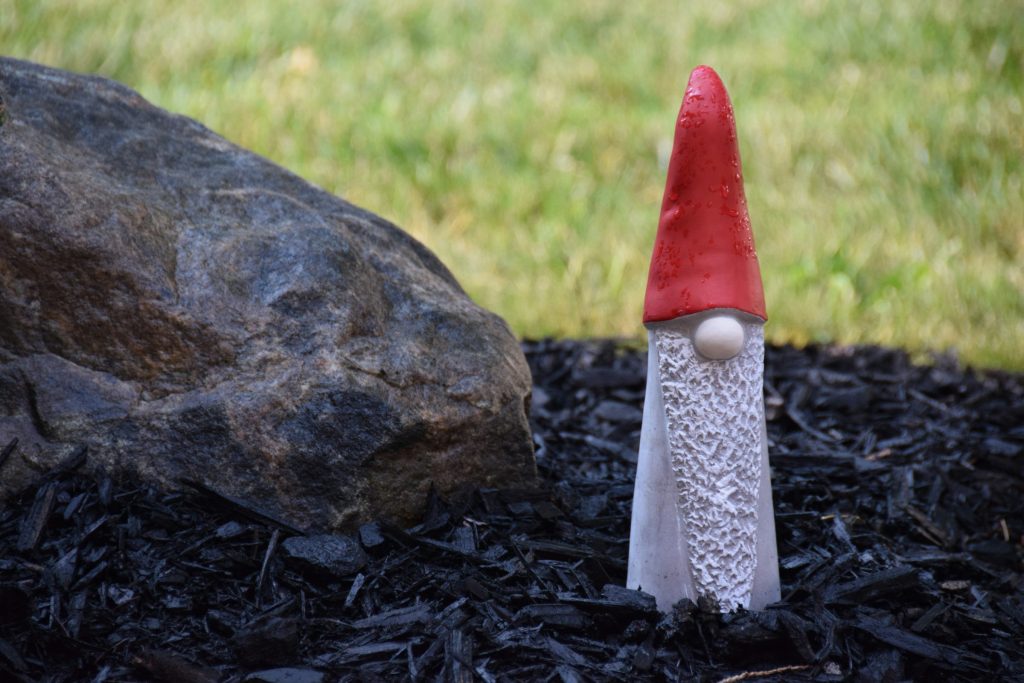 Garden background with green grass and gray rock on the left. On the right, a garden gnome in plaster, with a pointy red hood and long white beard, symbolizing the small penis