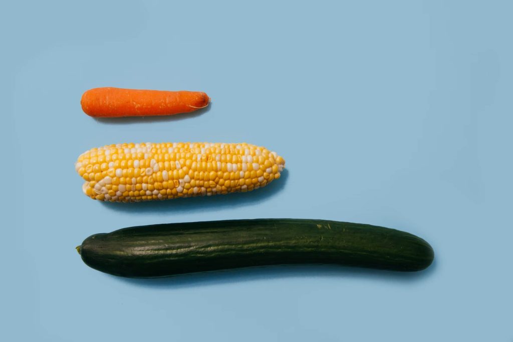 a carrot, a corn cob, and a cucumber on a table