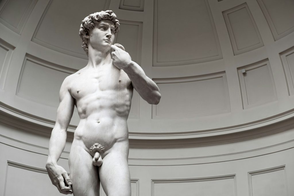 Obra David de Michelangelo em mármore branco. Atrás dele, fundo branco abobadado e quadriculado. A estátua está com o pênis pequeno à mostra e representa a prótese peniana