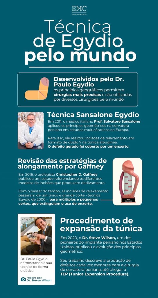 infográfico relatando como os Princípios Geométricos são usados na curvatura Peniana