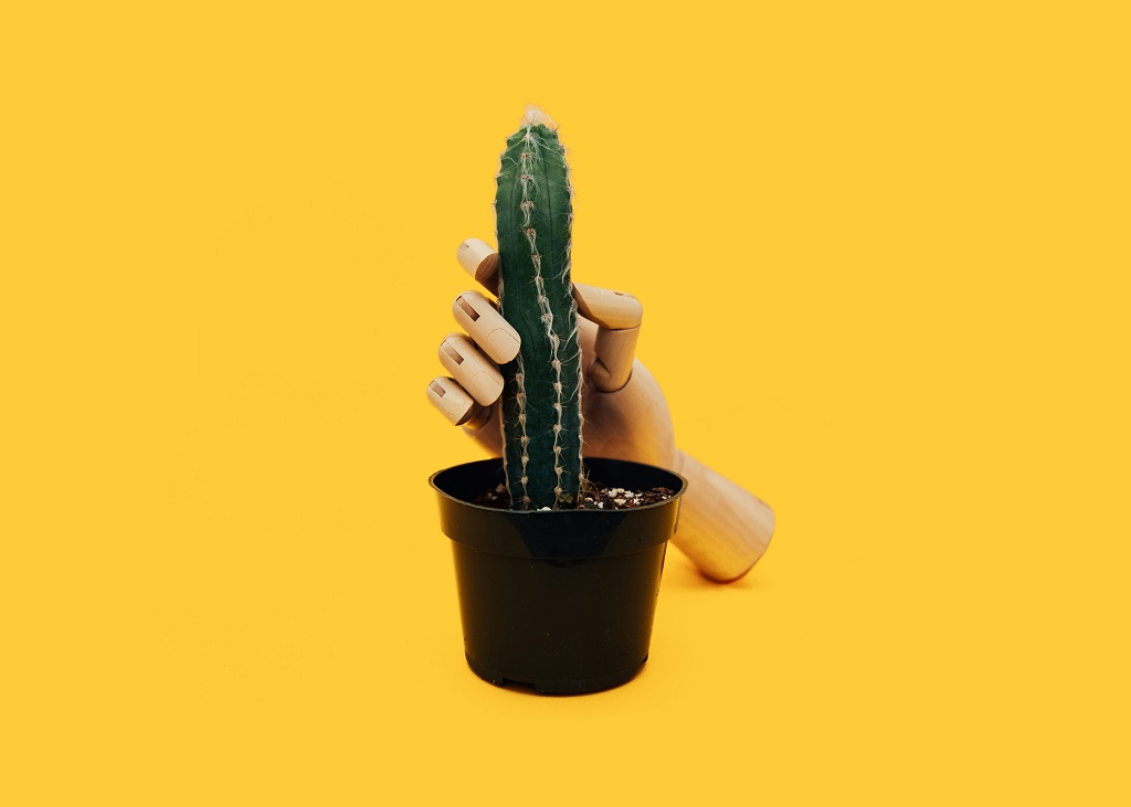 wooden hand holding a cactus as a metaphor for masturbation, used in the article Is masturbation bad?