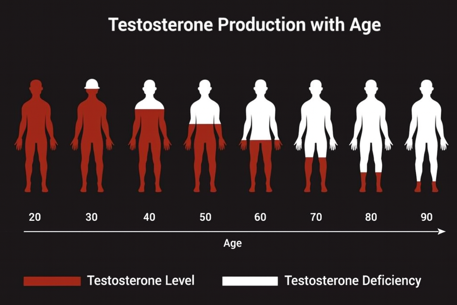 graph showing silhouettes and testosterone decline by age group