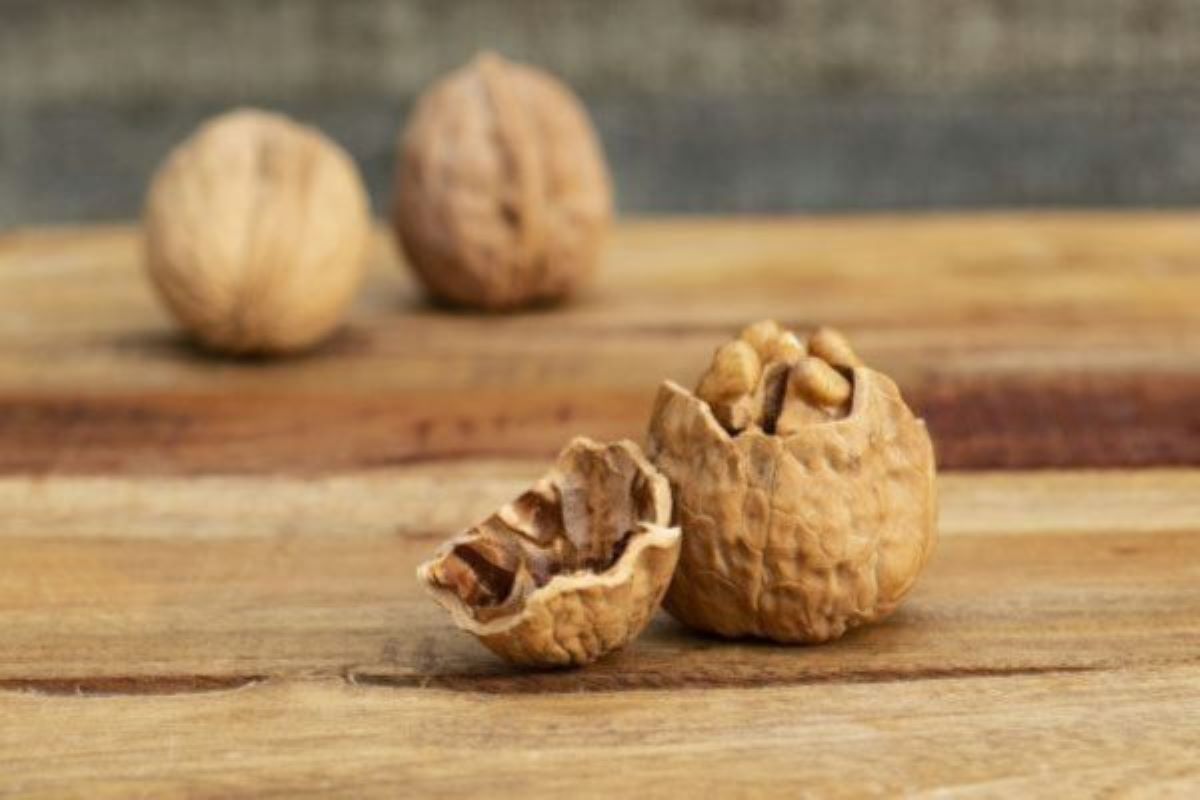 two whole walnuts blurred in the background and a cracked walnut in the foreground