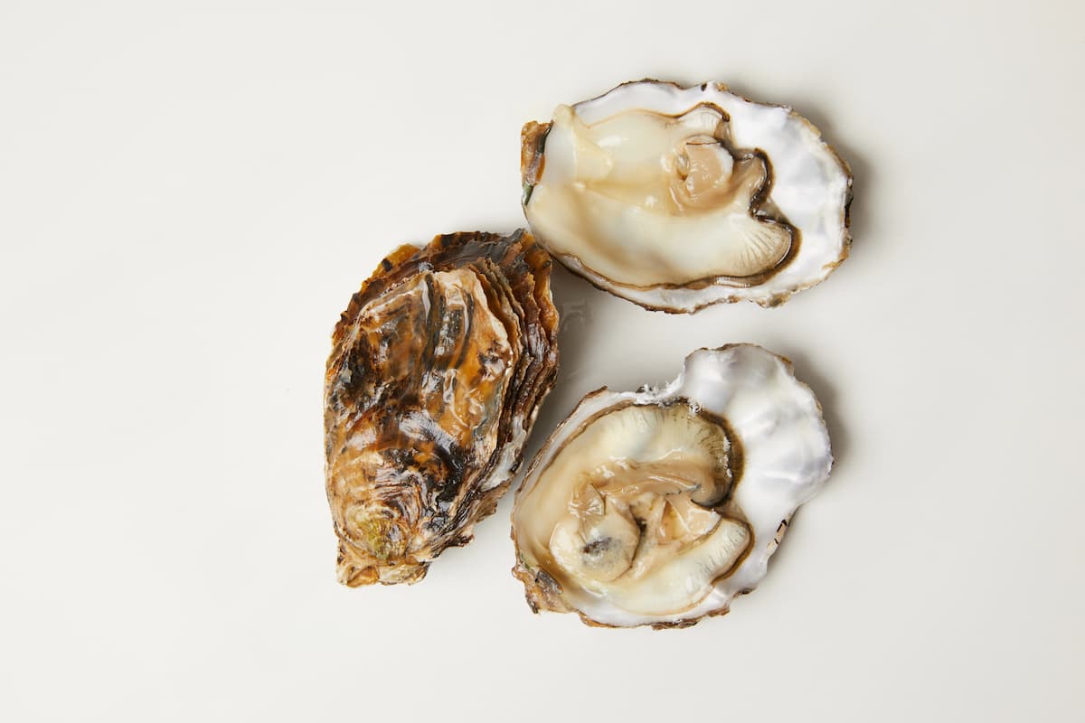 White surface with three open oysters representing foods that help boost testosterone due to zinc content