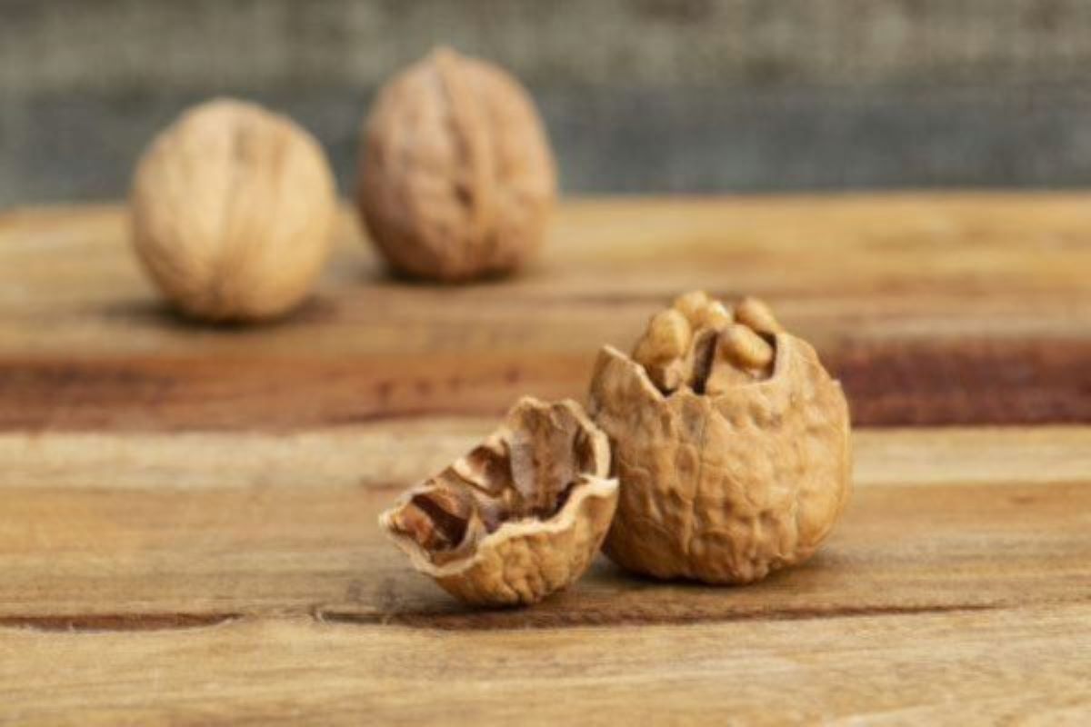 duas nozes inteiras ao fundo desfocadas e à frente, representando RTU de próstata.