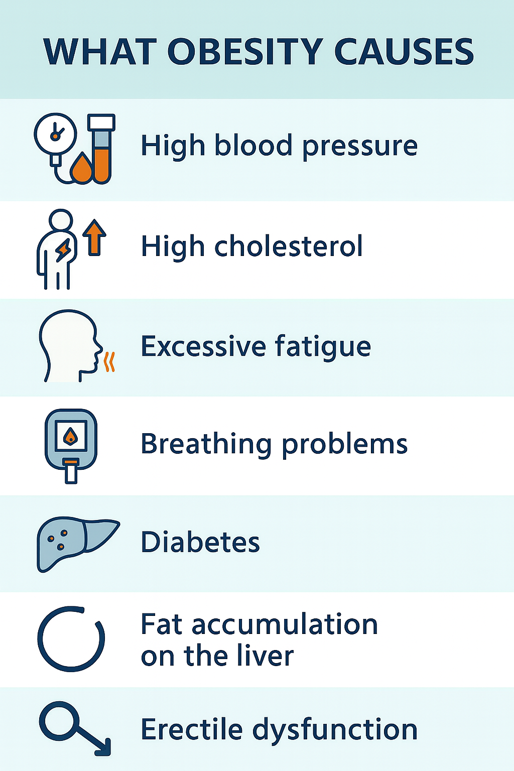 Infographic on What Obesity Causes