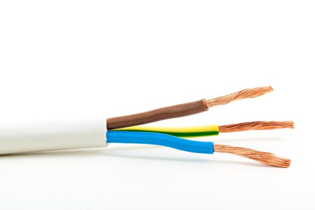 Veias no pênis visíveis sendo representadas por três fios de cobre
